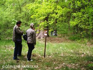 Sousedské slavnosti 2010