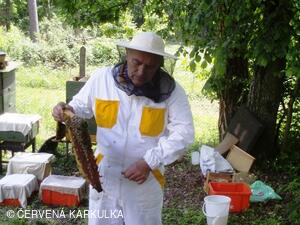 Medobraní a Den dětí 2010