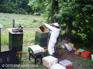 Medobraní a Den dětí 2010