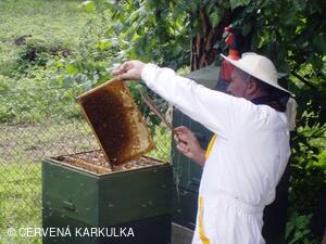 Medobraní a Den dětí 2010