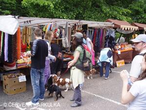 Medobraní a Den dětí 2010