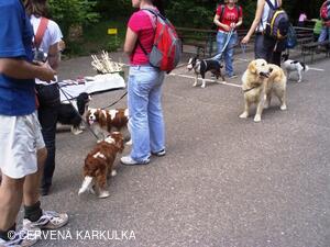 Medobraní a Den dětí 2010