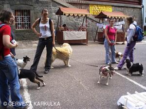 Medobraní a Den dětí 2010