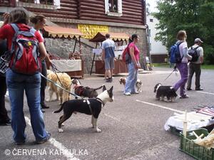 Medobraní a Den dětí 2010