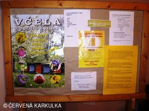 Medobraní a Den dětí 2010