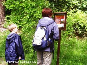 Medobraní a Den dětí 2010