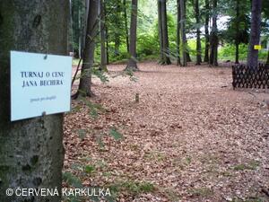 Setkání Jeníčků a Mařenek 2010 - turnaj o cenu Jana Bechera (pro dospělé)