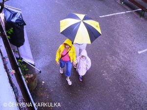 Setkání Jeníčků a Mařenek 2010