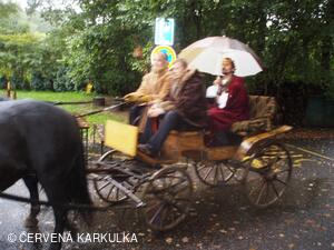 Království perníku 2010 - příjezd krále perníku (bohužel v dešti)