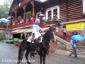 Království perníku 2010 - příjezd krále perníku (bohužel v dešti)