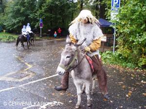 Království perníku 2010 - příjezd krále perníku (bohužel v dešti)