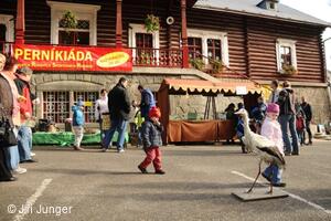 Perníkiáda s VŘSR 2010 - čapí stoj na jedné noze