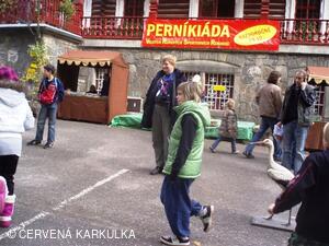 Perníkiáda s VŘSR 2010 - čapí stoj na jedné noze