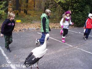 Perníkiáda s VŘSR 2010 - čapí stoj na jedné noze