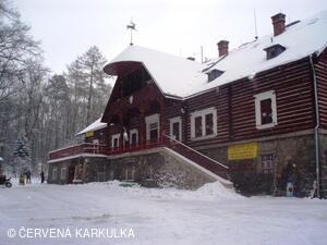Předvánoční pohlazení 2010