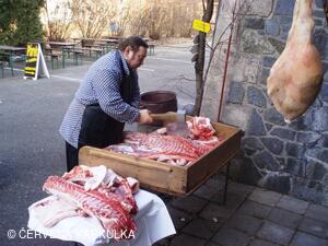 Probuzení a narozeniny Ježibaby 2011