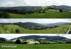Bílé Karpaty, orchideje