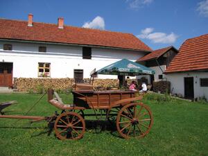 Restaurace U žabáka