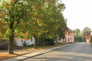 Mikroregion Loučná