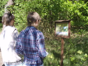 Sousedské slavnosti 2011