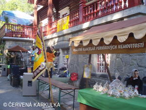 Sousedské slavnosti 2011