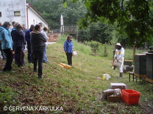 Medobraní s dětským dnem u Perníkové chaloupky 2011
