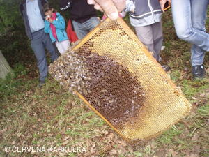 Medobraní s dětským dnem u Perníkové chaloupky 2011