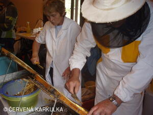 Medobraní s dětským dnem u Perníkové chaloupky 2011