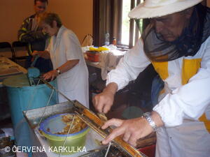 Medobraní s dětským dnem u Perníkové chaloupky 2011