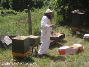 Medobraní s dětským dnem u Perníkové chaloupky 2011