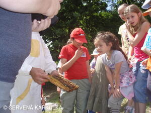 Medobraní s dětským dnem u Perníkové chaloupky 2011