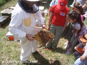 Medobraní s dětským dnem u Perníkové chaloupky 2011