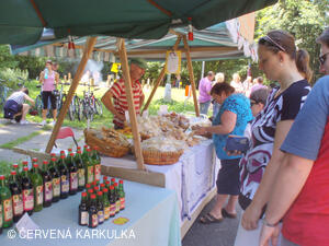 Setkání Jeníčků a Mařenek 2011