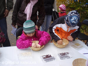 PERNÍKIÁDA s VŘSR u Perníkové chaloupky 28. 10. 2011