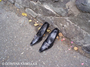 PERNÍKIÁDA s VŘSR u Perníkové chaloupky 28. 10. 2011